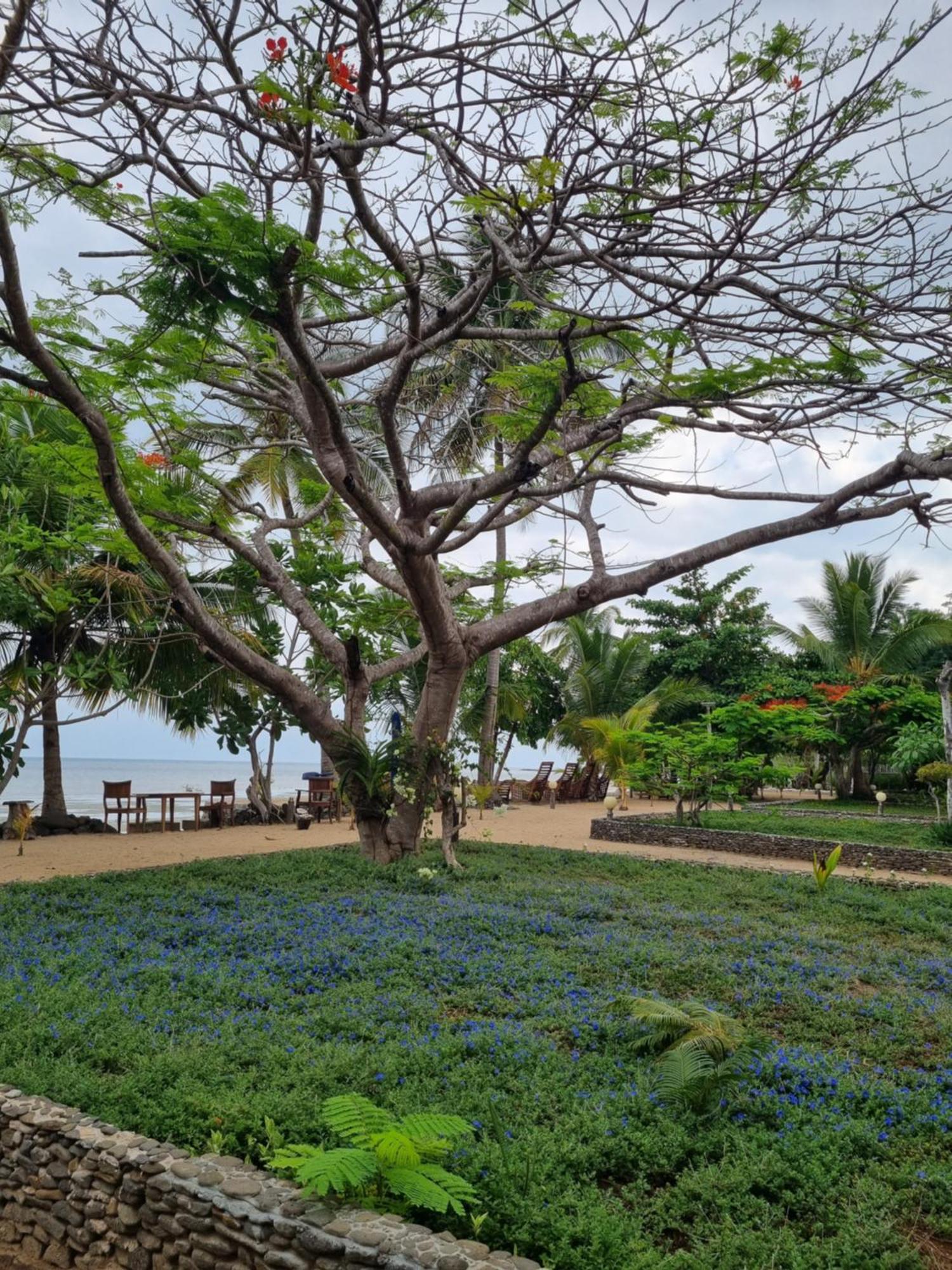 Sangany Lodge Befotaka Bay Kültér fotó